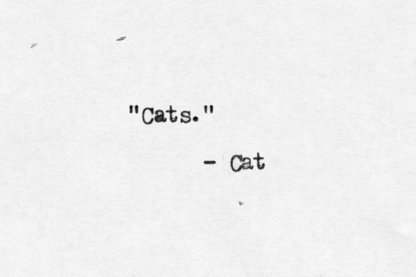 "Cats." - Cat 