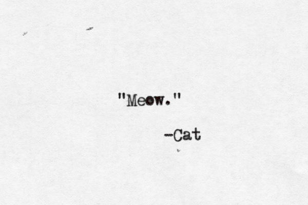 "Meow." -Cat