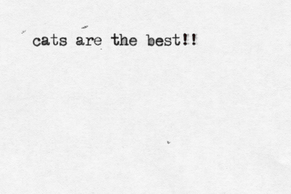 cats are the best!! 