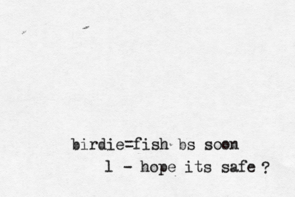 birdie=fish bs soon l - hope its safe ? 