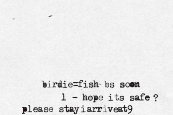 birdie=fish bs soon l - hope its safe ? please stay arrive i at9