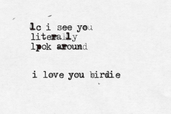 lc i see you literally lpok around i love you birdie