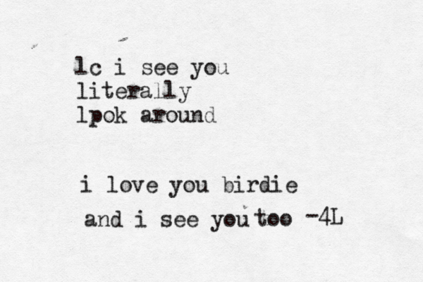lc i see you literally lpok around i love you birdie and i see you too -4L 