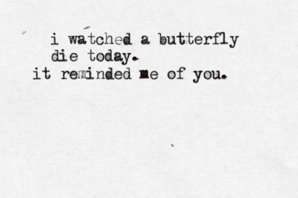 i watched a butterfly die today. it reminded me of you.