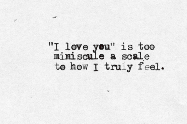 "I love you" is too miniscule a scale to how I truly feel. 