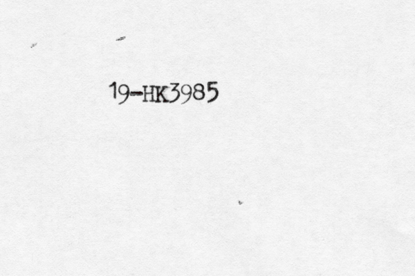 19-HK3985