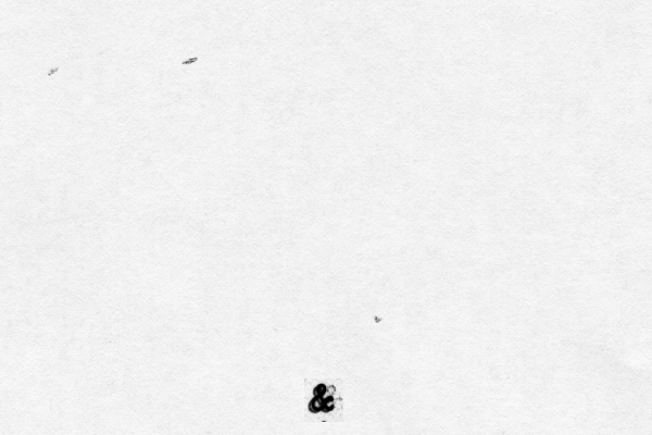 & & & & 