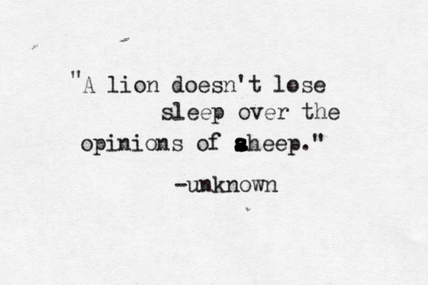 A lion doesn't lose sleep over the opinions of ah s s a a s s eep." " -unknown 