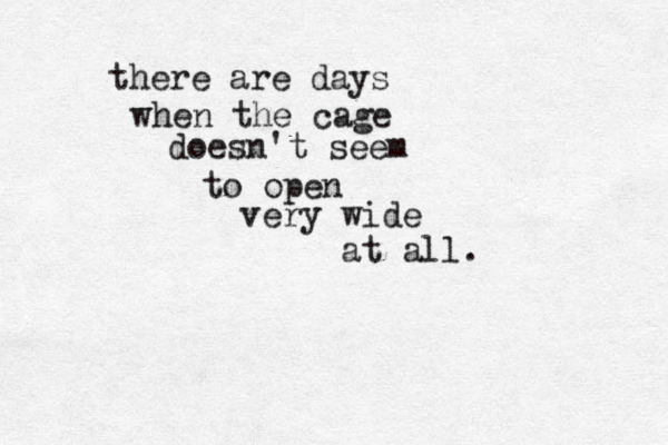 there are days when the cage doesn't seem to open very wide at all.