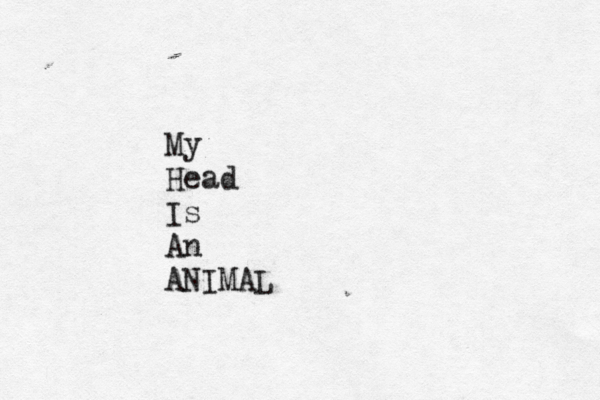 My Head Is An ANIMAL