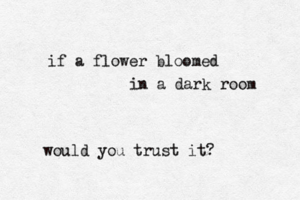 if a flower bloomed in a dark room would you trust it?