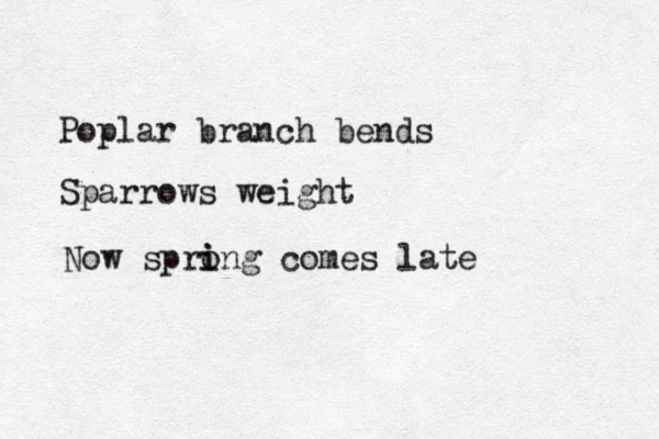 Poplar branch bends Sparrows weight Now spro i ing comes late 