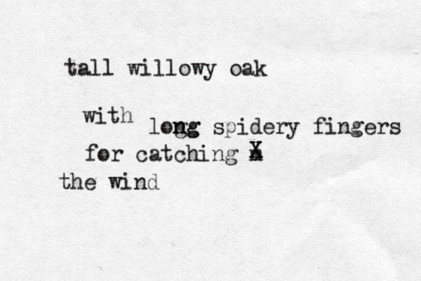 tall willowy oak with log n ng g spidery fingers for catching m the wind X X X 