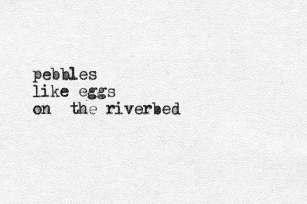 pebbles like eggs on the riverbed
