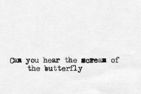 Can you hear the scream of the butterfly