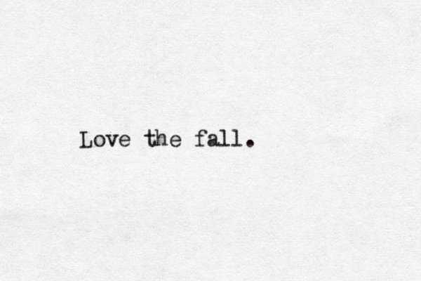 Love the fall.