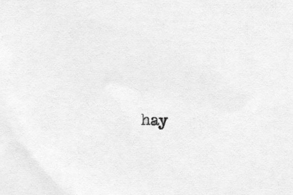 hay 
