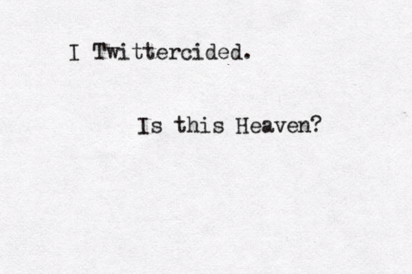 I Twittercided. Is this Heaven? 