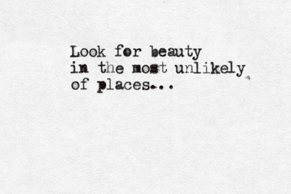 Look for beauty in the most unlikely of places... 
