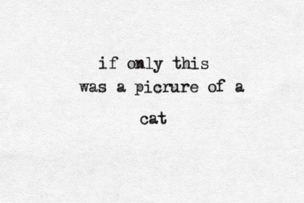 if only this was a picrure of a cat