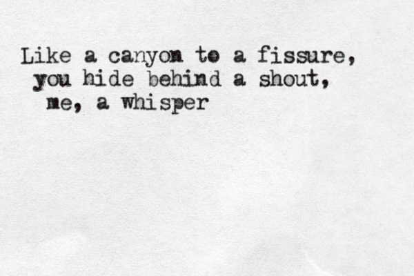 Like a canyon to a fissure, you hide behind a shout, me, a whisper
