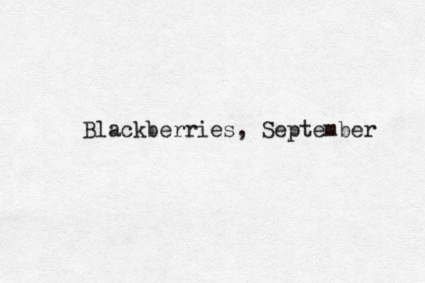 Blackberries, September 
