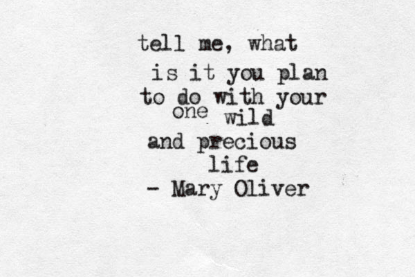 tell me, what is it you plan to do with your one wild and precious life - Mary Oliver 