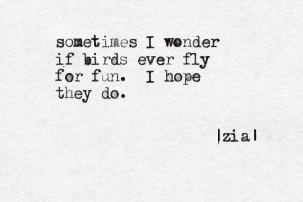 sometimes I wonder if birds ever fly for fun. I hope they do. |zia| 