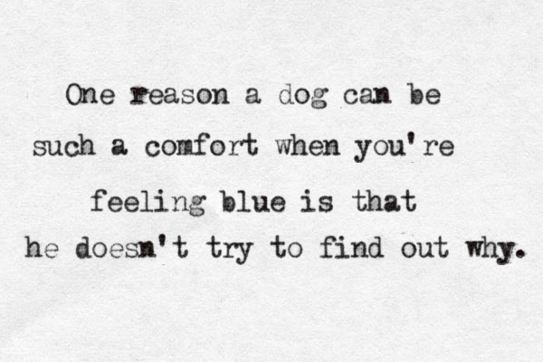 One reason a dog can be such a comfort when you're feeling blue is that he doesn't try to find out why. 