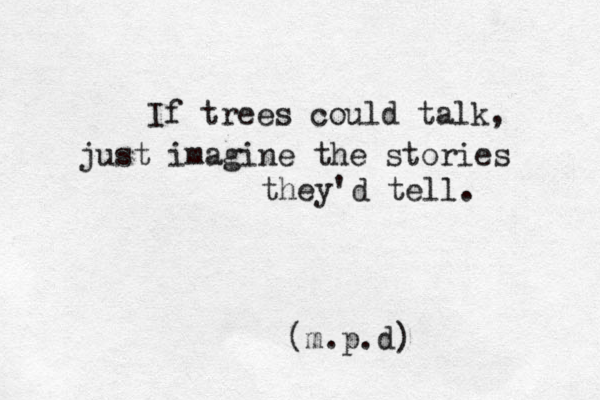 If trees could talk, just imagine the stories they'd tell. (m.p.d) 