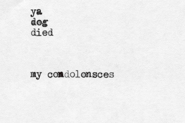 ya dog died my condolonsces 