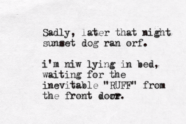 Sadly, later that night sunset dog ran orf. i'm niw lying in bed, waiting for the inevitable "RUFF" from the front dorr or. 