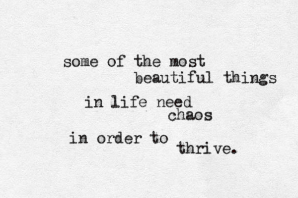 some of the most beautiful things in life need chaos in order to thrive. 