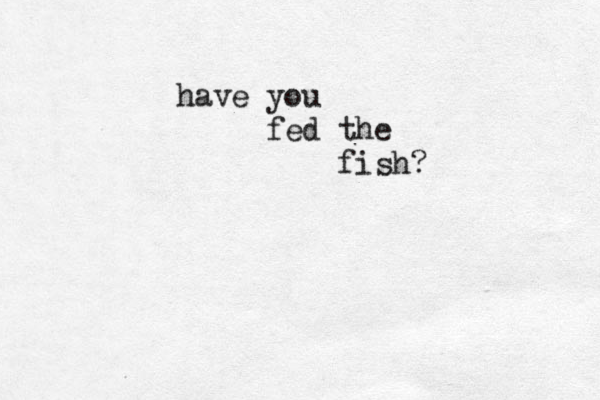 have you fed the fish?