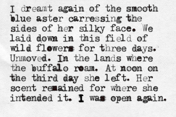 I dreamt again of the smooth blue aster carressing the sides of her silky face. We laid down in this field of wild flowers for three days. Unmoved . In the lands where the buffalo roam. At noon on the third day she left . Her scent remained for where she intended it . i I I I I I I was open again. 