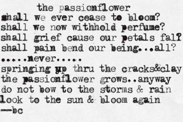 the passionflower shall l we ever cease to bloom? shall we now withhol d perfume? shall grief cause our petals fall ? shall pain bend our being...all l? .....never..... springing y u up thru the cracks&clay the passionflower l grows..anyway do not bow to the storms & rain look to the sun & bloom again --bc 