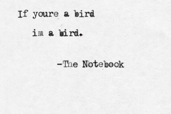 If youre a bird im a bird. -The Notebook 