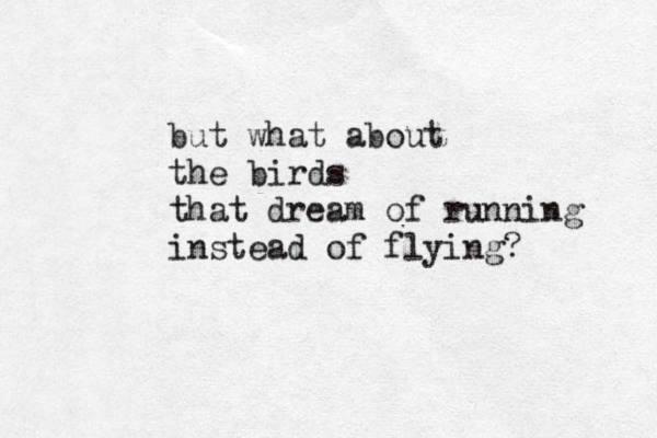 but what about the birds that dream of running instead of flying? 