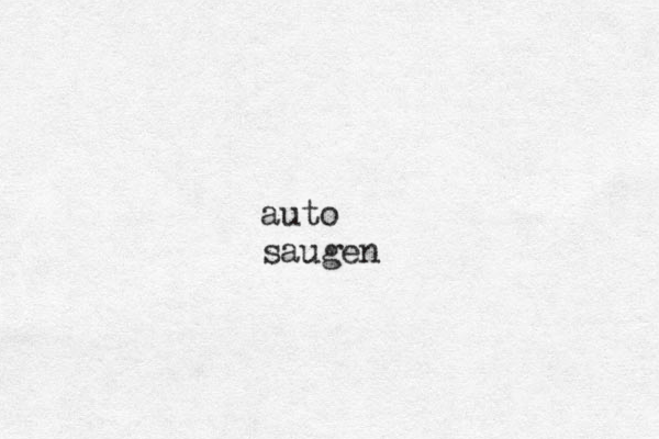 auto saugen