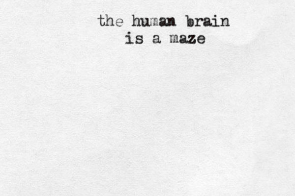 the human brain is a maze z 