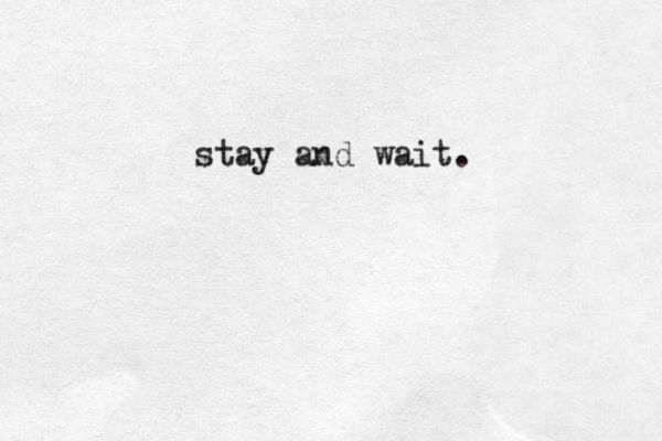 stay and wait. 