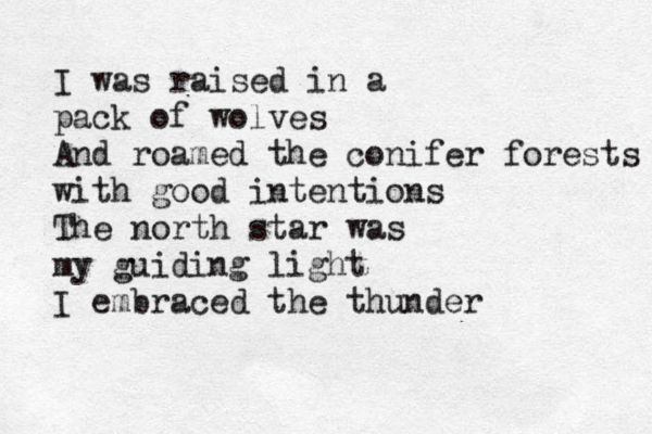 I was raised in a pack of wolves And roame d the conifer forests with good intentions The north star was my guiding light I embraced the thunder 