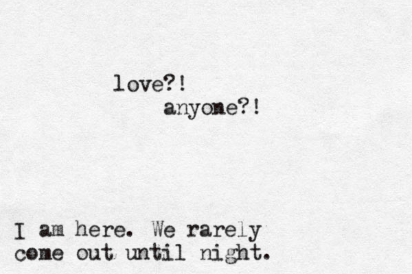 love?! anyone?! I am here. We rarely come out until night. 