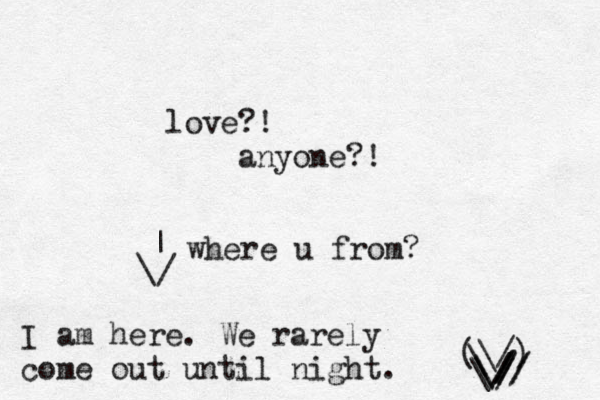 love?! anyone?! I am here. We rarely come out until night. (\/) ~ \ \ // / \ \// / / / / \ | where u from?