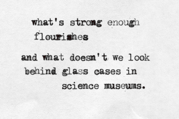 what's strong enough flourishea s and what doesn't we look behind glass cases in science museums. 