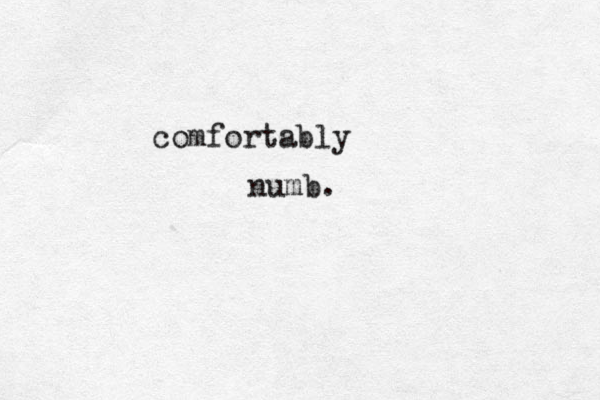 comfortably numb. 