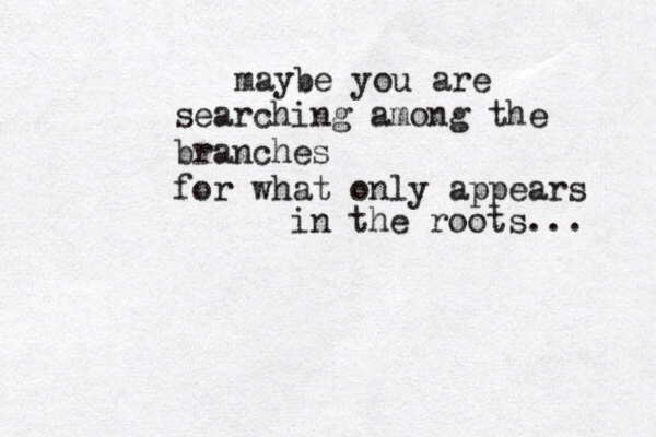 maybe you are searching among the branches for what only appears in the roots... 