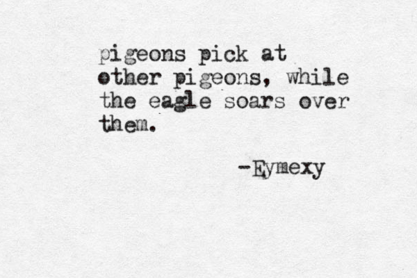 pigeons pick at other pigeons , while the eagle soars over them. -Eymexy 