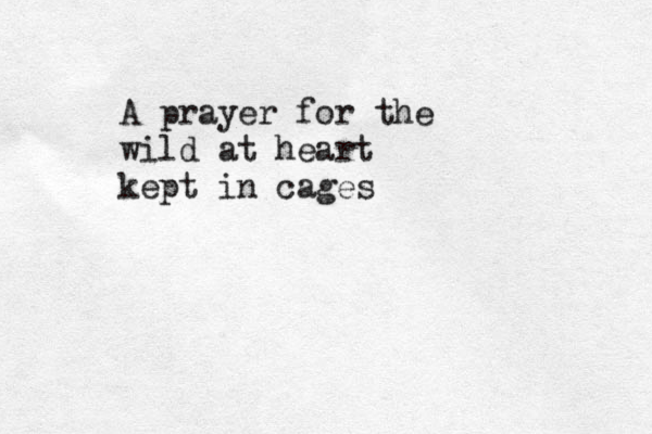 A prayer for the wild at heart kept in cages 
