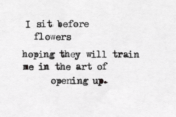 I sit before flowers hoping they will train me in the art of opening up. 